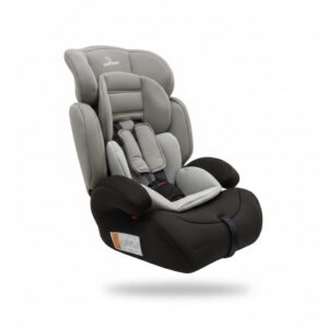 Asiento de Automóvil Multi-etapa (6 meses a 5 años) Color Gris